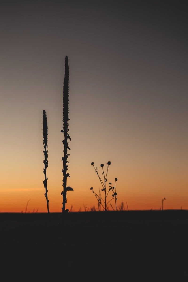 Prairie Twilight